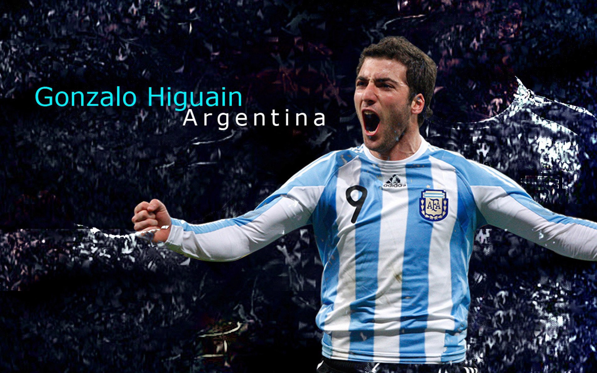 女子体育崛起，突破与挑战并存—从赛场到社会的全方位变革